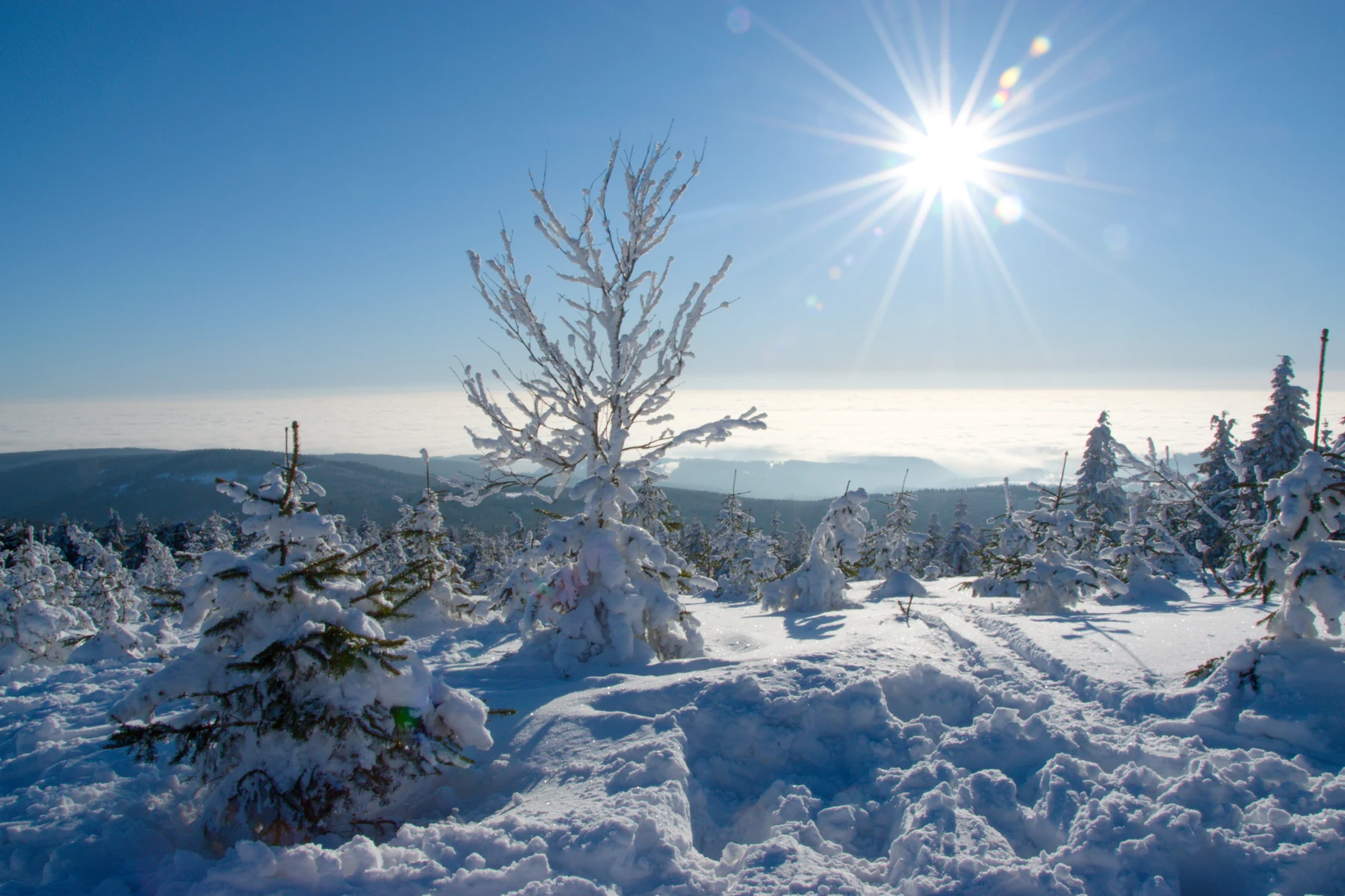 Árboles nevados y vistas desde Velká Deštná en los montes Orlické